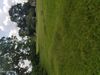 1412 Lanvale Rd NE photo